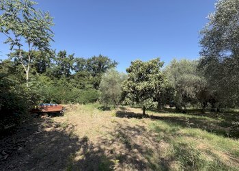 3 - Terreno edificabile Via Colle San Paolo, Montelibretti - foto 3