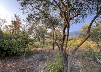 IMG_4780 - Terreno agricolo Via Acquasanta 27, Sulmona - foto 1