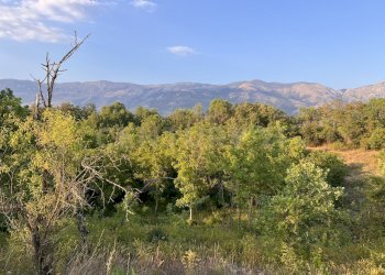 IMG_4773 - Terreno agricolo Via Acquasanta 27, Sulmona - foto 3