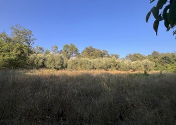 IMG_4767 - Terreno agricolo Via Acquasanta 27, Sulmona - foto 4
