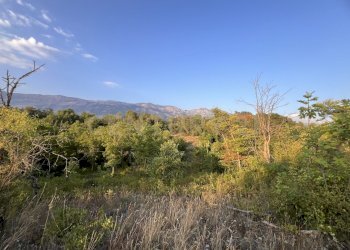 IMG_4776 - Terreno agricolo Via Acquasanta 27, Sulmona - foto 8