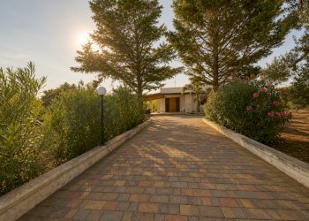 3C479B3D-27CE-428F-8BFF-F660D5C459BB - Villa San Vito dei Normanni - foto 7