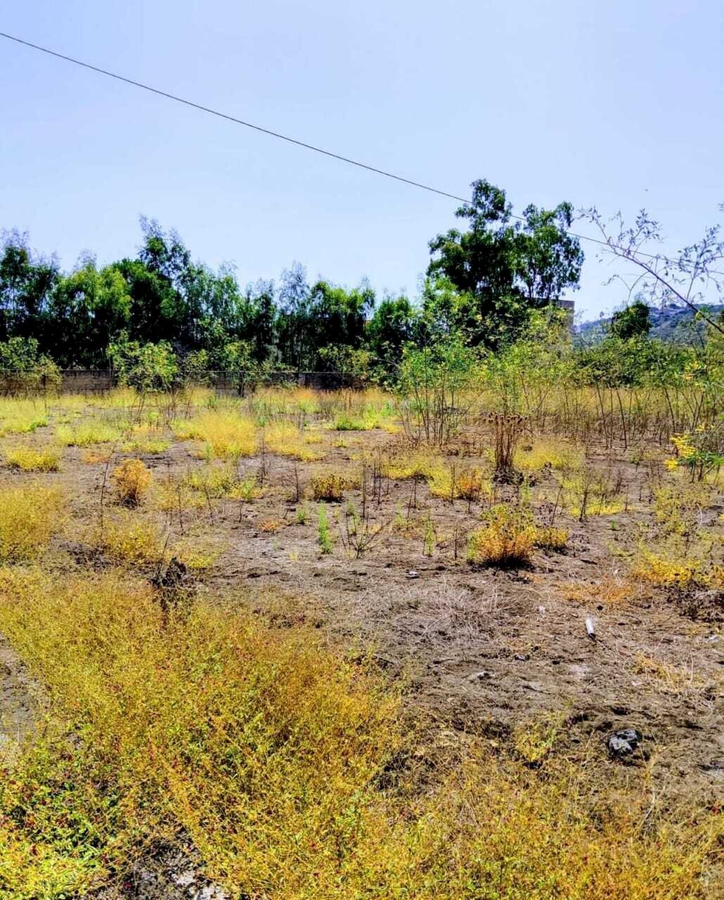 WhatsApp Image 2026-07-31 at 17.15.35 (1) - Agricultural land Lungomare Agnone Bagni, Augusta - photo 1