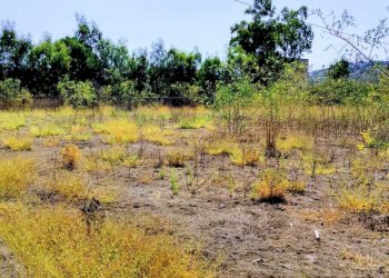 WhatsApp Image 2026-07-31 at 17.15.35 (1) - Agricultural land Lungomare Agnone Bagni, Augusta - photo 1
