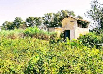 WhatsApp Image 2026-07-31 at 17.15.35 (2) - Agricultural land Lungomare Agnone Bagni, Augusta - photo 3