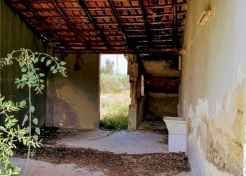 WhatsApp Image 2026-07-31 at 17.15.35 - Agricultural land Lungomare Agnone Bagni, Augusta - photo 4