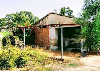 WhatsApp Image 2026-07-31 at 17.15.36 (1) - Agricultural land Lungomare Agnone Bagni, Augusta - photo 5