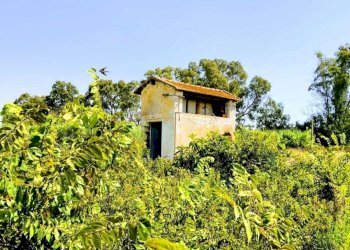WhatsApp Image 2026-07-31 at 17.15.36 - Agricultural land Lungomare Agnone Bagni, Augusta - photo 6