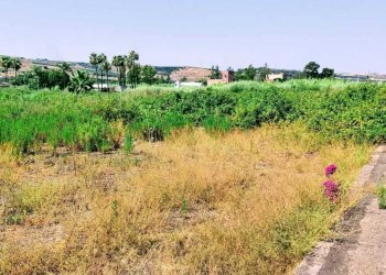 WhatsApp Image 2026-07-31 at 17.15.37 - Agricultural land Lungomare Agnone Bagni, Augusta - photo 7