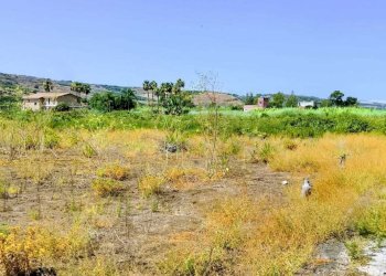 WhatsApp Image 2026-07-31 at 17.15.41 - Agricultural land Lungomare Agnone Bagni, Augusta - photo 9