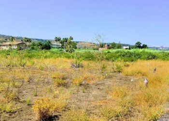 WhatsApp Image 2026-07-31 at 17.15.42 (1) - Agricultural land Lungomare Agnone Bagni, Augusta - photo 10