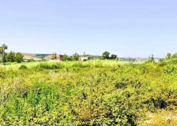WhatsApp Image 2026-07-31 at 17.15.42 (3) - Agricultural land Lungomare Agnone Bagni, Augusta - photo 12