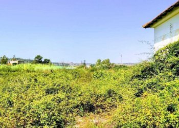 WhatsApp Image 2026-07-31 at 17.15.45 - Agricultural land Lungomare Agnone Bagni, Augusta - photo 15
