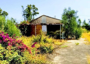 WhatsApp Image 2026-07-31 at 17.15.48 - Agricultural land Lungomare Agnone Bagni, Augusta - photo 19