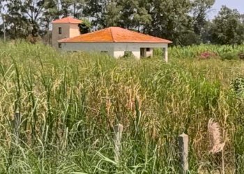 WhatsApp Image 2026-07-31 at 17.15.50 - Agricultural land Lungomare Agnone Bagni, Augusta - photo 25