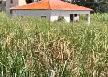 WhatsApp Image 2026-07-31 at 17.15.56 (1) - Agricultural land Lungomare Agnone Bagni, Augusta - photo 26