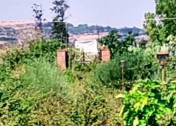 WhatsApp Image 2026-07-31 at 17.15.56 (4) - Agricultural land Lungomare Agnone Bagni, Augusta - photo 29