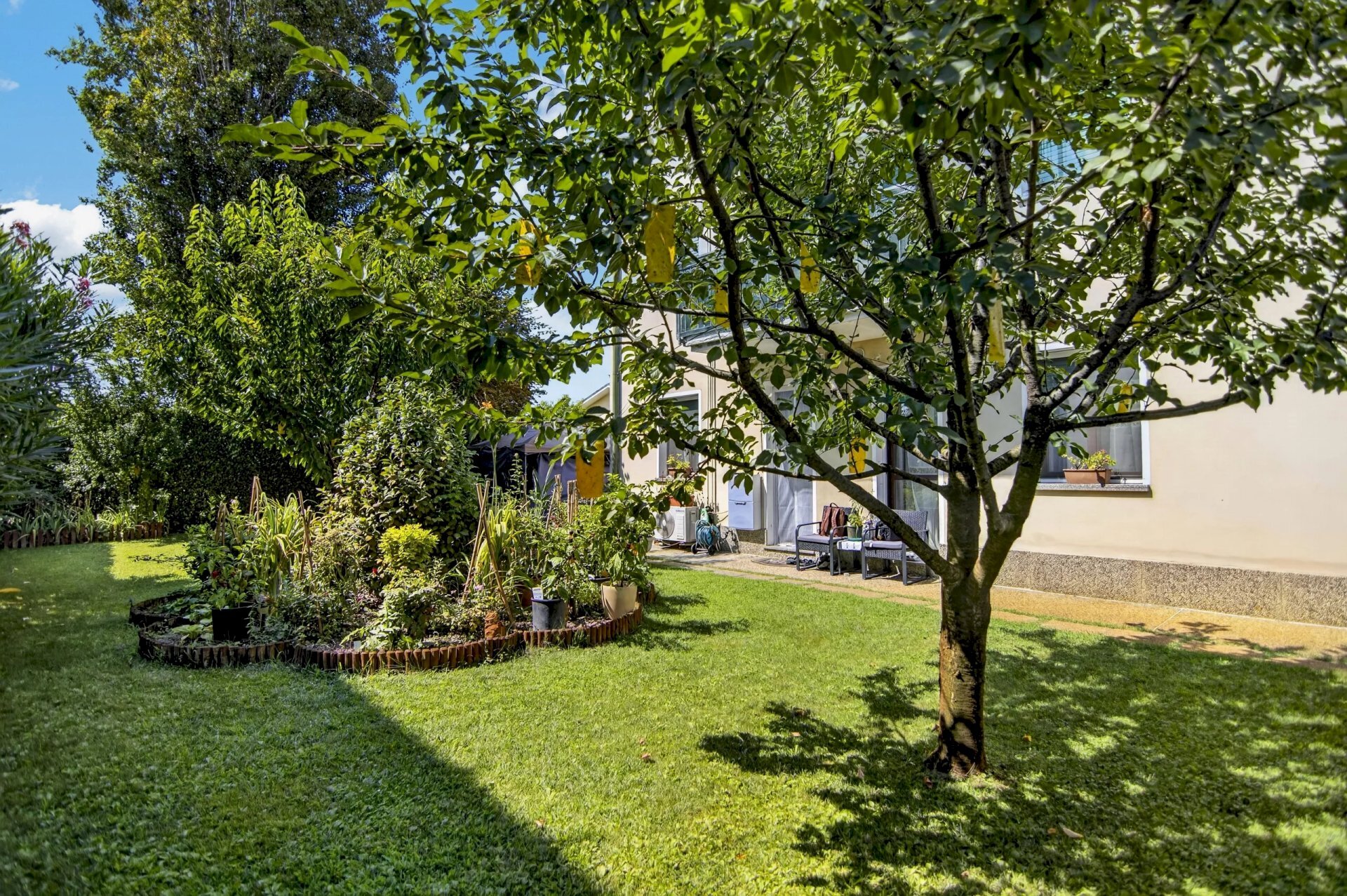 Apartment Vigonovo - photo 1