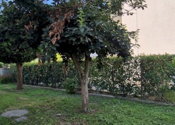 Casa indipendente Ravenna (zona Ponte Nuovo) - foto 45