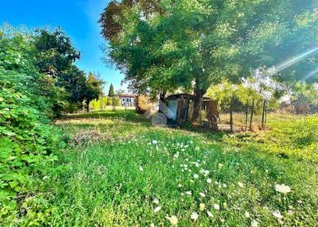 Independent house Via Novi, Basaluzzo - photo 27