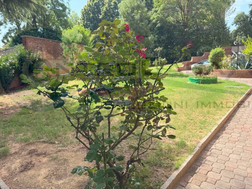 Giardino - Appartamento San Lazzaro di Savena - foto 2