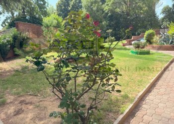 Giardino - Appartamento San Lazzaro di Savena - foto 2