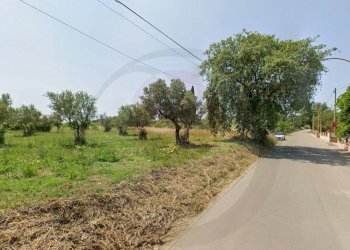 Foto 1 - Terreno edificabile via principale, Mozzagrogna - foto 1