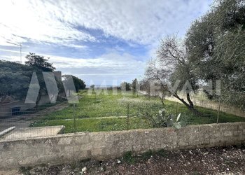 Foto 10 - Villa Ragusa - photo 10
