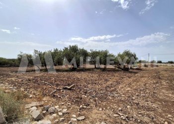 Foto 15 - Rustico Sp86, Modica - foto 15