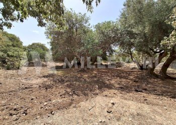 Foto 17 - Rustico Sp86, Modica - foto 17