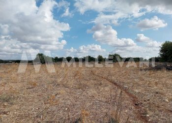 Foto 10 - Agricultural land SP 86, Modica - photo 10