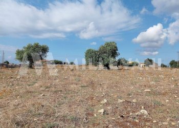 Foto 11 - Agricultural land SP 86, Modica - photo 11