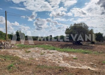 Foto 4 - Terreno agricolo Modica - foto 4