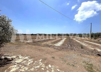 Foto 5 - Agricultural land sp 121, Ispica - photo 5
