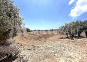 Foto 6 - Agricultural land sp 121, Ispica - photo 6