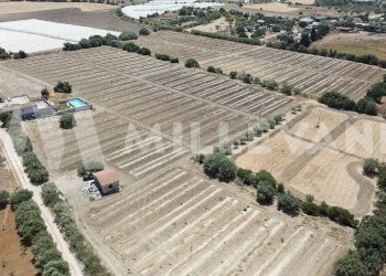 Foto 9 - Agricultural land sp 121, Ispica - photo 9