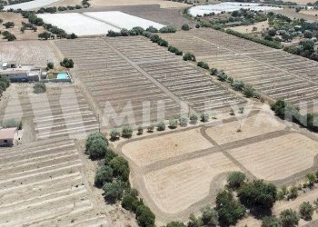 Foto 10 - Agricultural land sp 121, Ispica - photo 10
