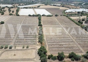 Foto 11 - Agricultural land sp 121, Ispica - photo 11