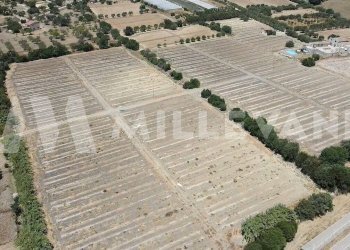 Foto 12 - Agricultural land sp 121, Ispica - photo 12