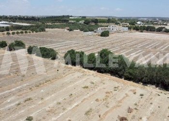 Foto 14 - Agricultural land sp 121, Ispica - photo 14