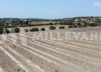 Foto 16 - Agricultural land sp 121, Ispica - photo 16