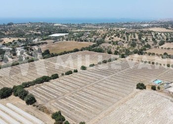 Foto 17 - Agricultural land sp 121, Ispica - photo 17