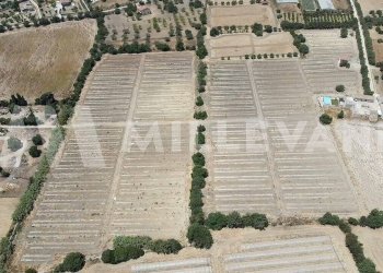 Foto 19 - Agricultural land sp 121, Ispica - photo 19