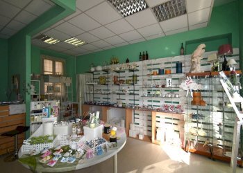 Foto 7 - Attività Commerciale obizzone da bernareggio
43, Bernareggio - foto 7