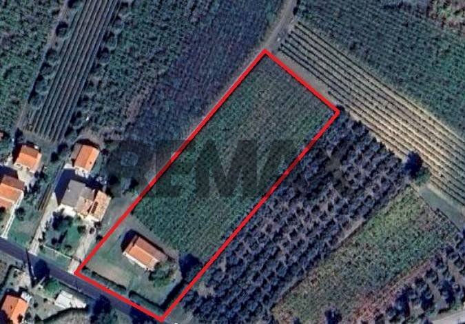 Posizione della mappa - Rustico C.da Piano Croce
 
snc, Pollutri - planimetria 1