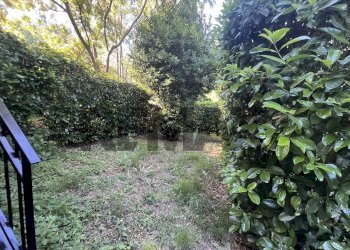 Giardino - Quadrilocale Contrada Coste Del Mulino
 
48, Rocca San Giovanni - foto 20