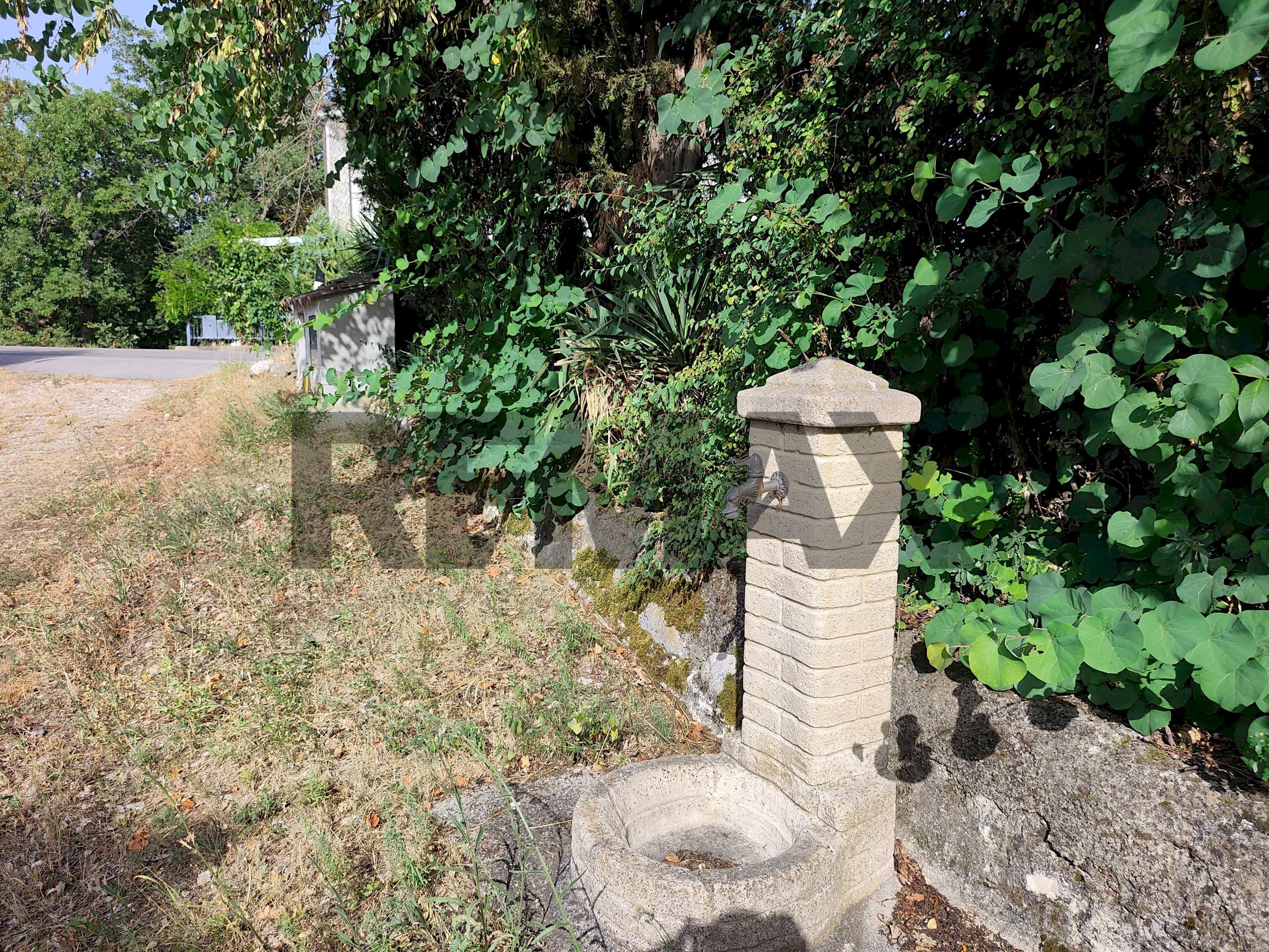 Giardino - Casa indipendente C.da Collegrande
189, Roccascalegna - foto 3