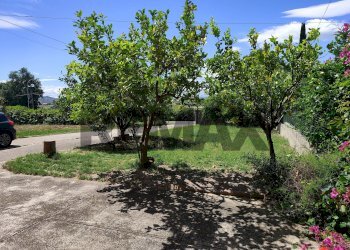 Giardino - Semi-detached house C.da Piano Croce
 
32, Pollutri - photo 9