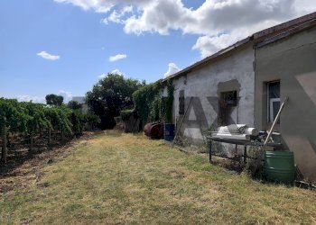 Giardino - Semi-detached house C.da Piano Croce
 
32, Pollutri - photo 13