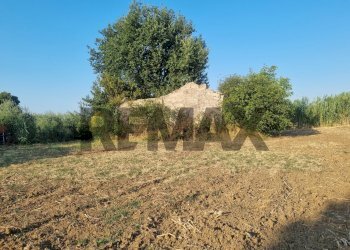 Giardino - Terreno edificabile Via del Sangro
42, Atessa - foto 1